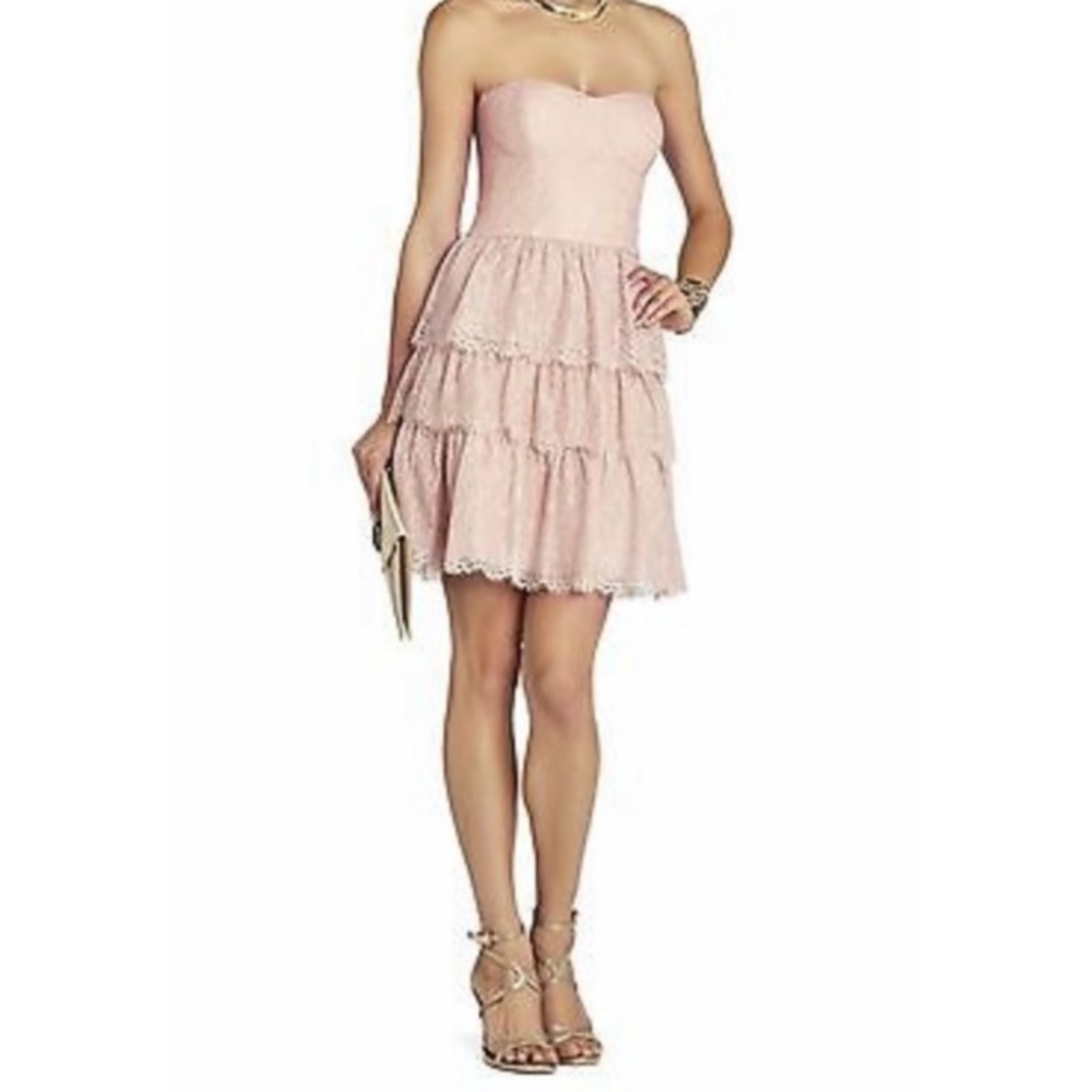 Beautiful Blush Dress